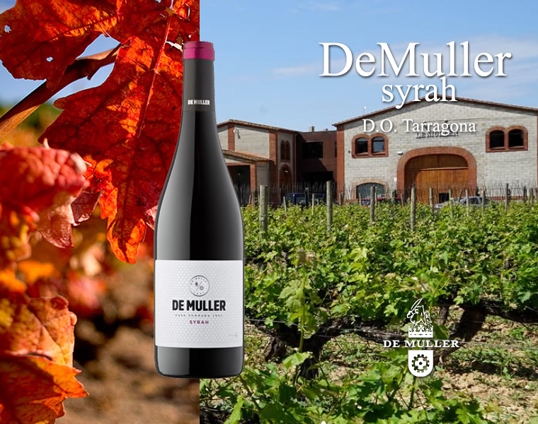 De Muller syrah  – Vi del mes de Maig 2025